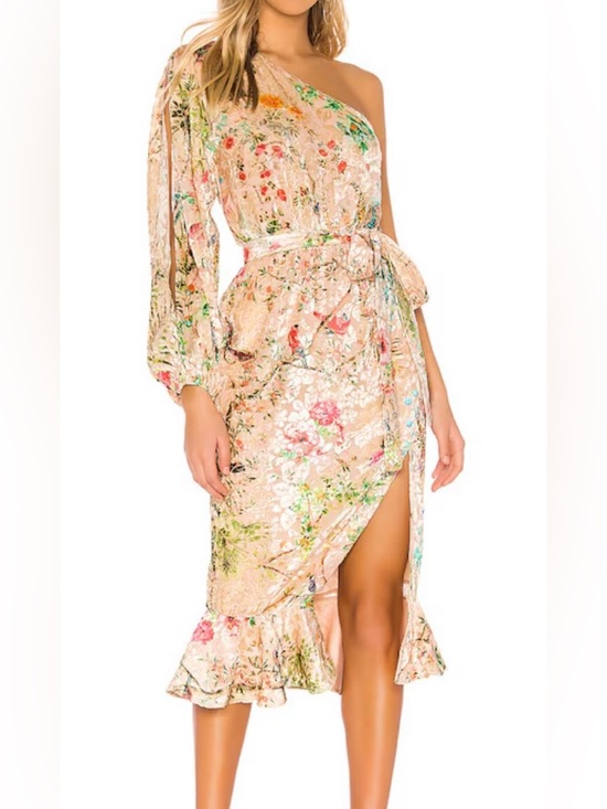 HEMANT & NANDITA Dresses & Skirts - Hemant & Nandita Veena one shoulder velvet floral print midi dress NWT SZ S